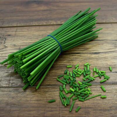 Chives Seeds Grow Your Own Herbs Simply Garden