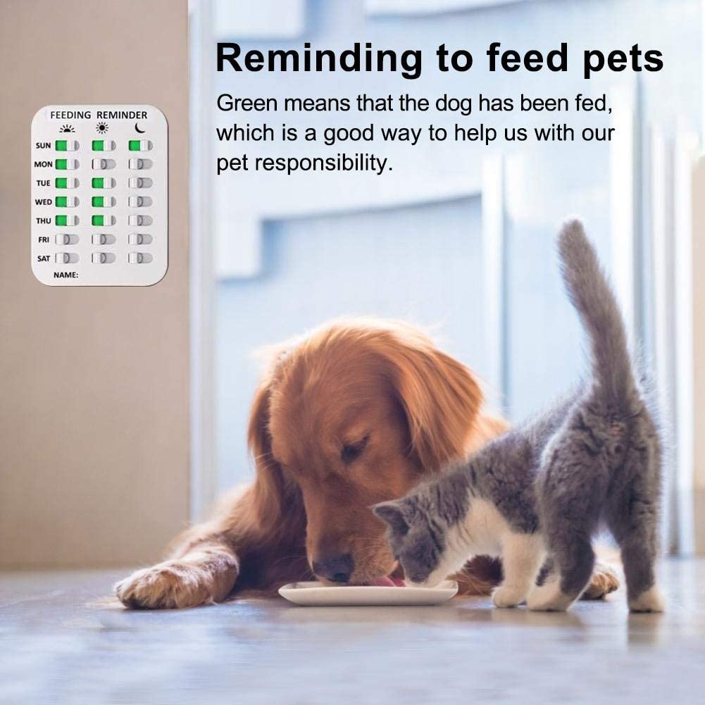 Pet Feeding Reminder