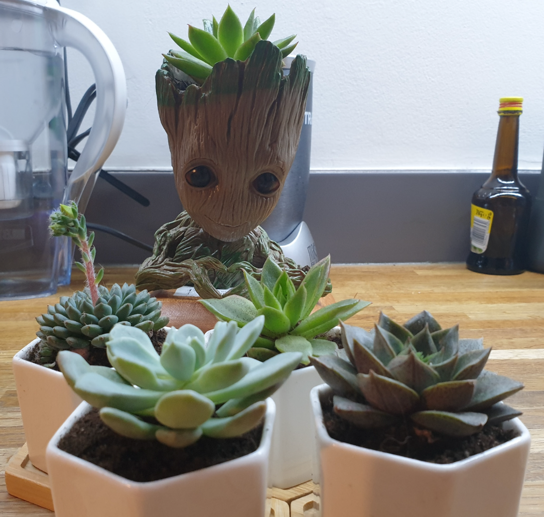 Groot Plant Pot Flowerpot Baby Groot Figures Cute Model, Succulent Planter Cute Green Plants Flower Pot with Hole Groott Pen Holder