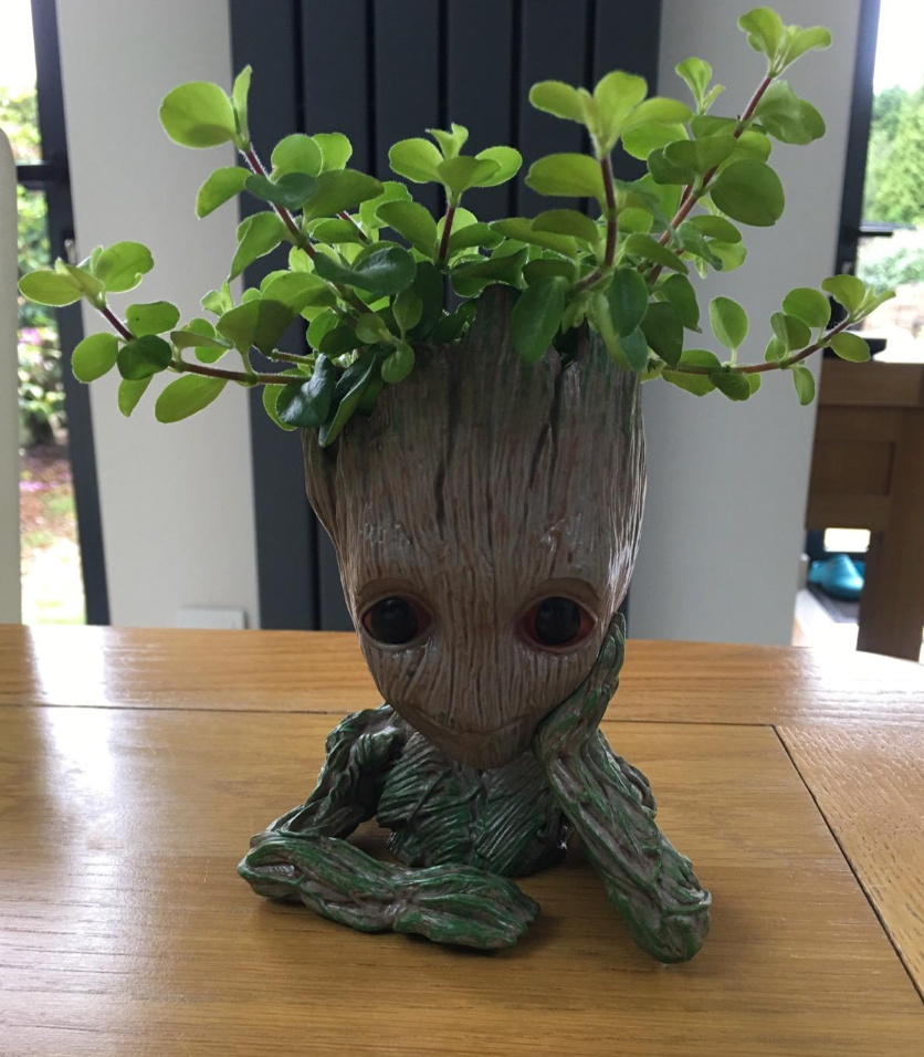 Groot Plant Pot Flowerpot Baby Groot Figures Cute Model, Succulent Planter Cute Green Plants Flower Pot with Hole Groott Pen Holder