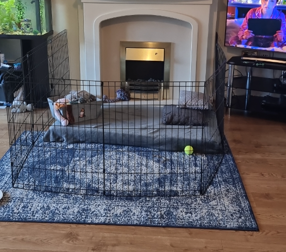 Pet Dog Pen Brand New Puppy Cat Rabbit Foldable Playpen Indoor/Outdoor Enclosure Run Cage 2 Sizes