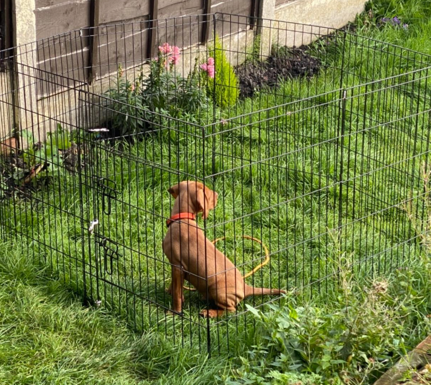 Pet Dog Pen Brand New Puppy Cat Rabbit Foldable Playpen Indoor/Outdoor Enclosure Run Cage 2 Sizes