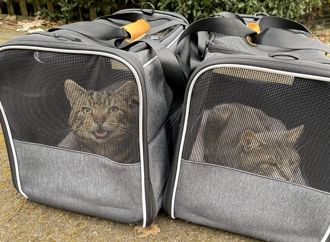 Pet Carrier Bag, Portable Cat Carrier Bag Top Opening, Removable Mat and Breathable Mesh, Foldable Cat Carrier Transport Bag for Dogs and Cats, with Shoulder Strap and Pet Bowl, Grey