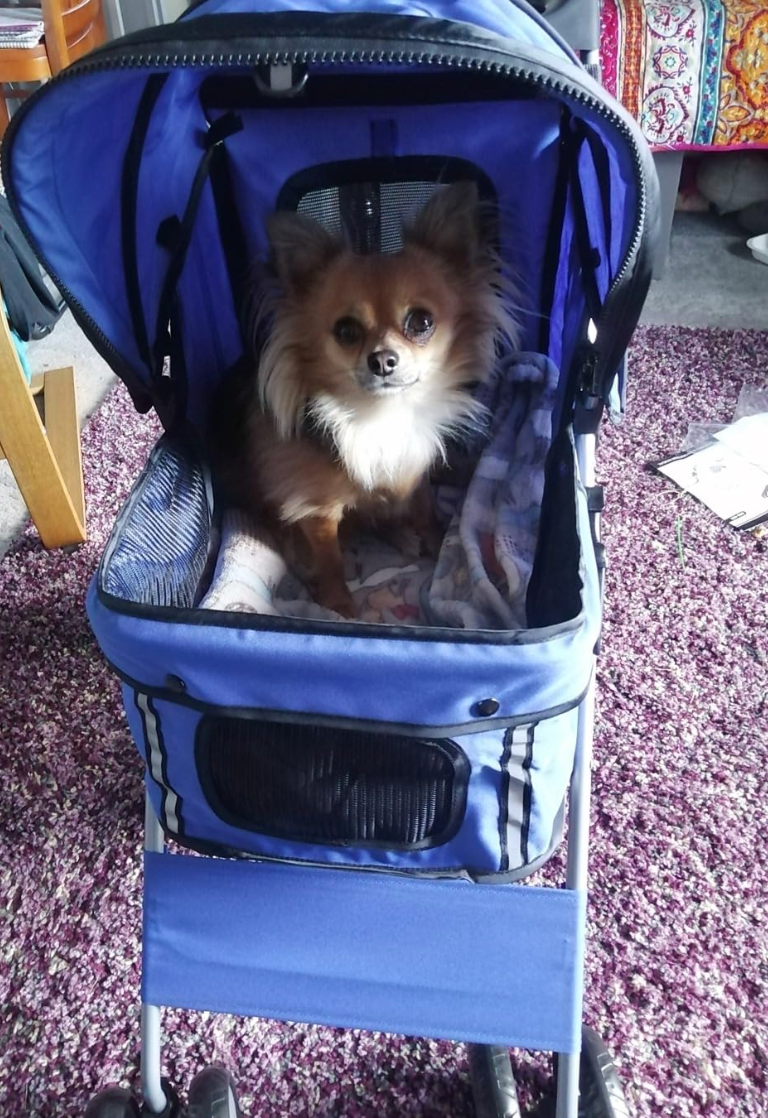 Pet Stroller for Small Dogs Cats Foldable Travel Carriage with Wheels Zipper Entry Cup Holder Storage Basket Blue