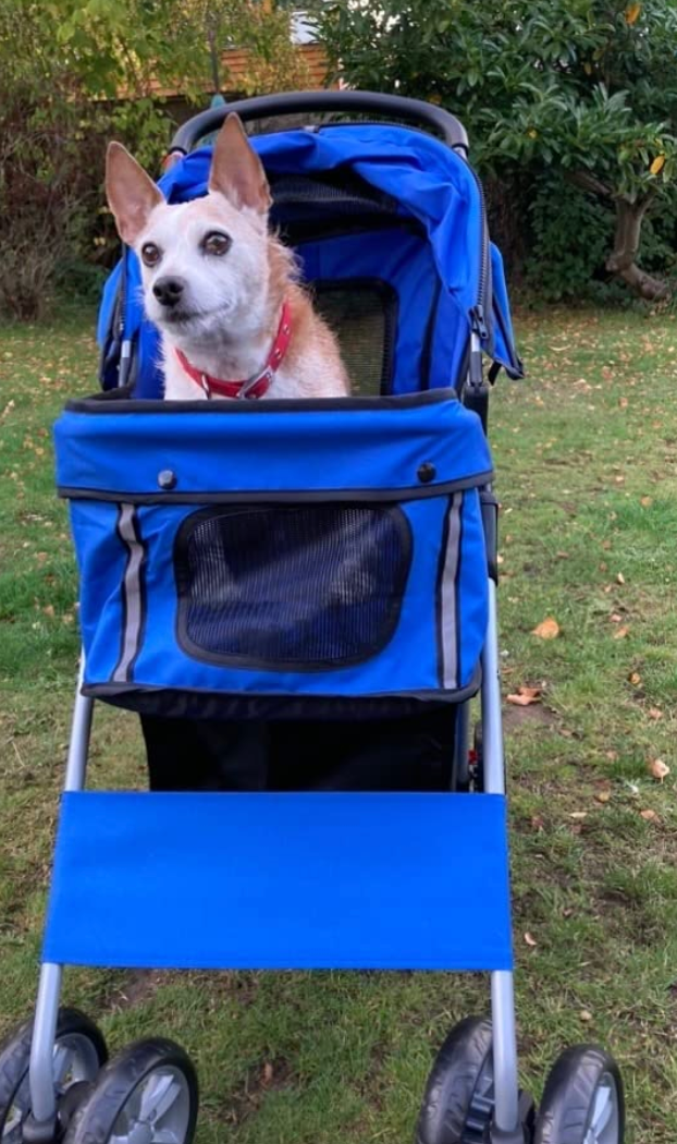 Pet Stroller for Small Dogs Cats Foldable Travel Carriage with Wheels Zipper Entry Cup Holder Storage Basket Blue