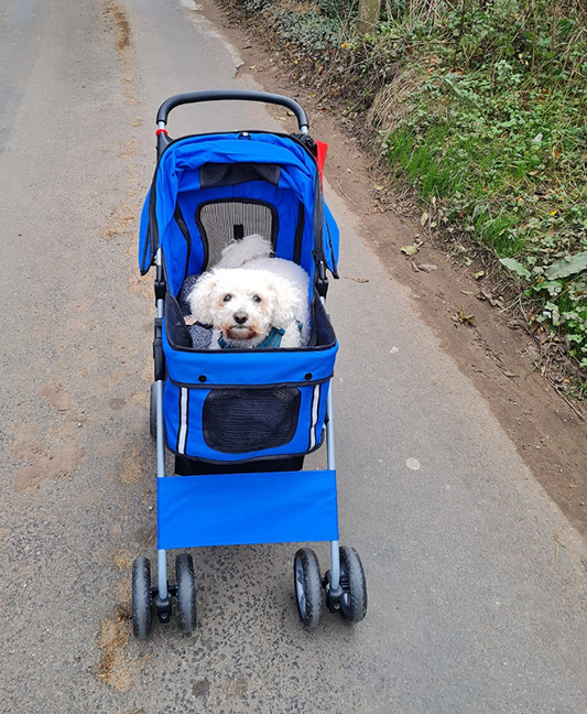 Pet Stroller for Small Dogs Cats Foldable Travel Carriage with Wheels Zipper Entry Cup Holder Storage Basket Blue