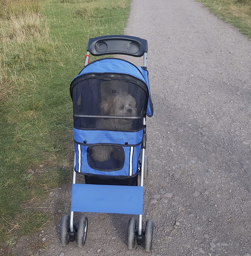 Pet Stroller for Small Dogs Cats Foldable Travel Carriage with Wheels Zipper Entry Cup Holder Storage Basket Blue