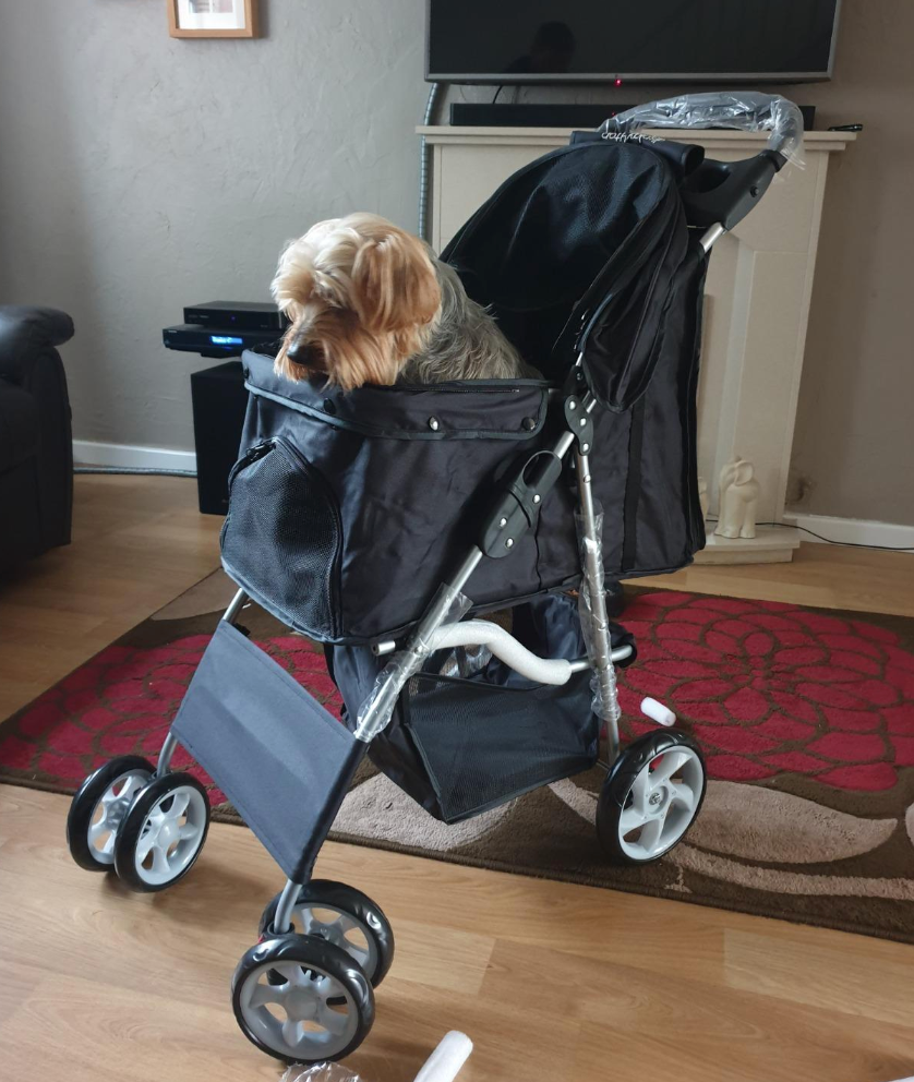 Pet Travel Stroller Dog Cat Pushchair Pram Jogger Buggy with 4 Wheels (Black)