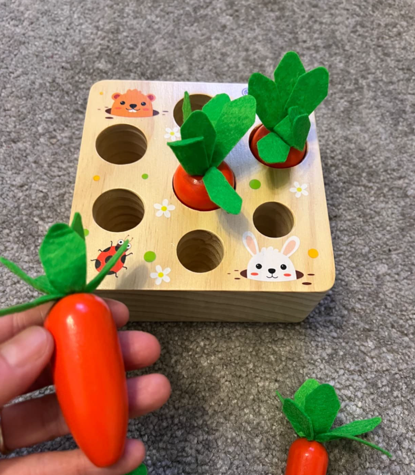 Montessori Wooden Toys for 1 2 3 Year Old Boys Girls Sorting Game, 6-12 Months Baby Carrots Harvest Wooden Puzzle, Educational Carrots Toys Motor Skills Toys, Gift for Kids First Birthday