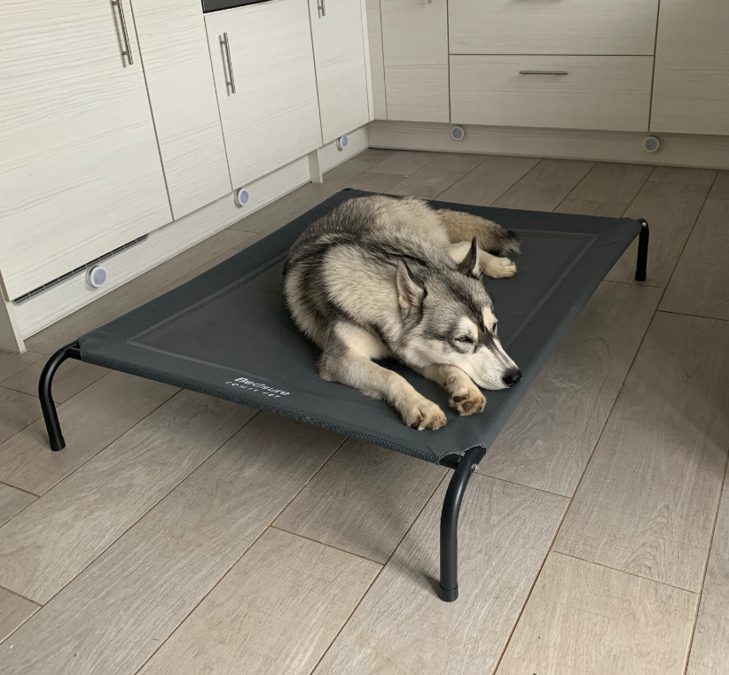 Raised Dog Bed Small - Elevated Waterproof Dog Bed With Mesh, Outdoor for Travel and Garden, Grey, 105x80x20cm