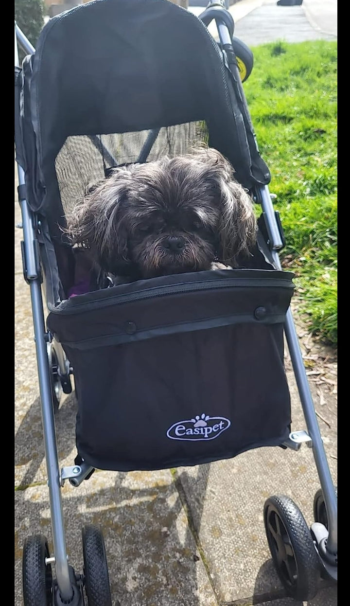 Pet Stroller Dog Puppy Carrier Travel Pushchair