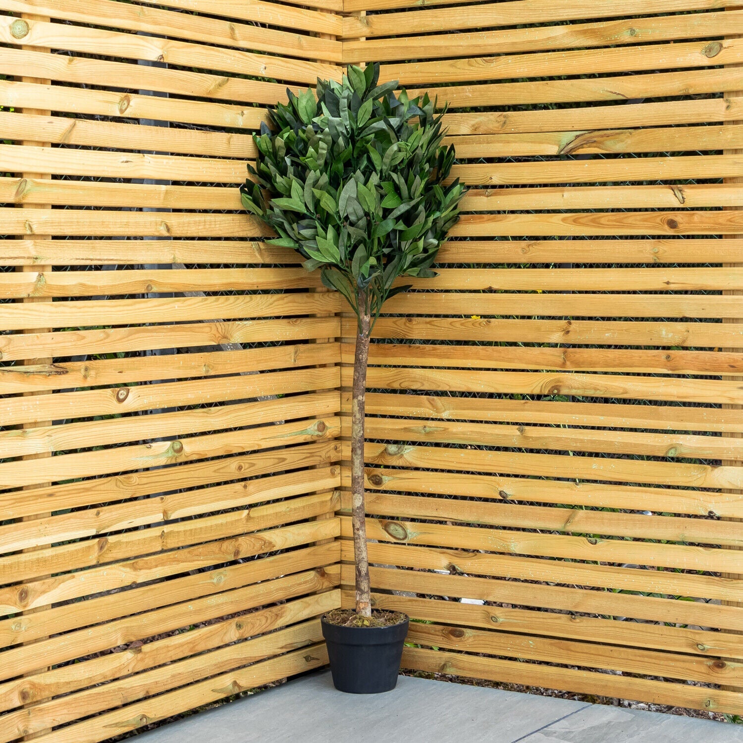 Woodside Artificial Topiary Bay Leaf Tree 4ft Indoor Outdoor Plant (pack of 2)