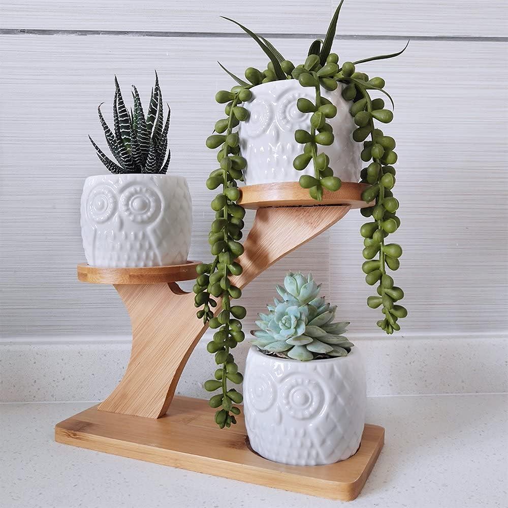 Owl Succulent Pots 3 Pcs with 3 Tier Bamboo Saucers Stand Holder, White Owl Succulent Plant Pots with Drainage and Bamboo Stand, Great for Office and Home Decor, Ideal for Gift.