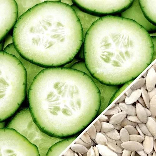 Cucumber Seeds 20pcs