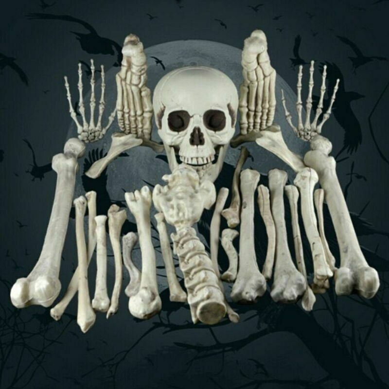 28x Halloween Scattered Bones Scary Skull Decoration Skeleton Party Decor Props