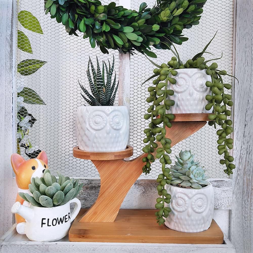 Owl Succulent Pots 3 Pcs with 3 Tier Bamboo Saucers Stand Holder, White Owl Succulent Plant Pots with Drainage and Bamboo Stand, Great for Office and Home Decor, Ideal for Gift.