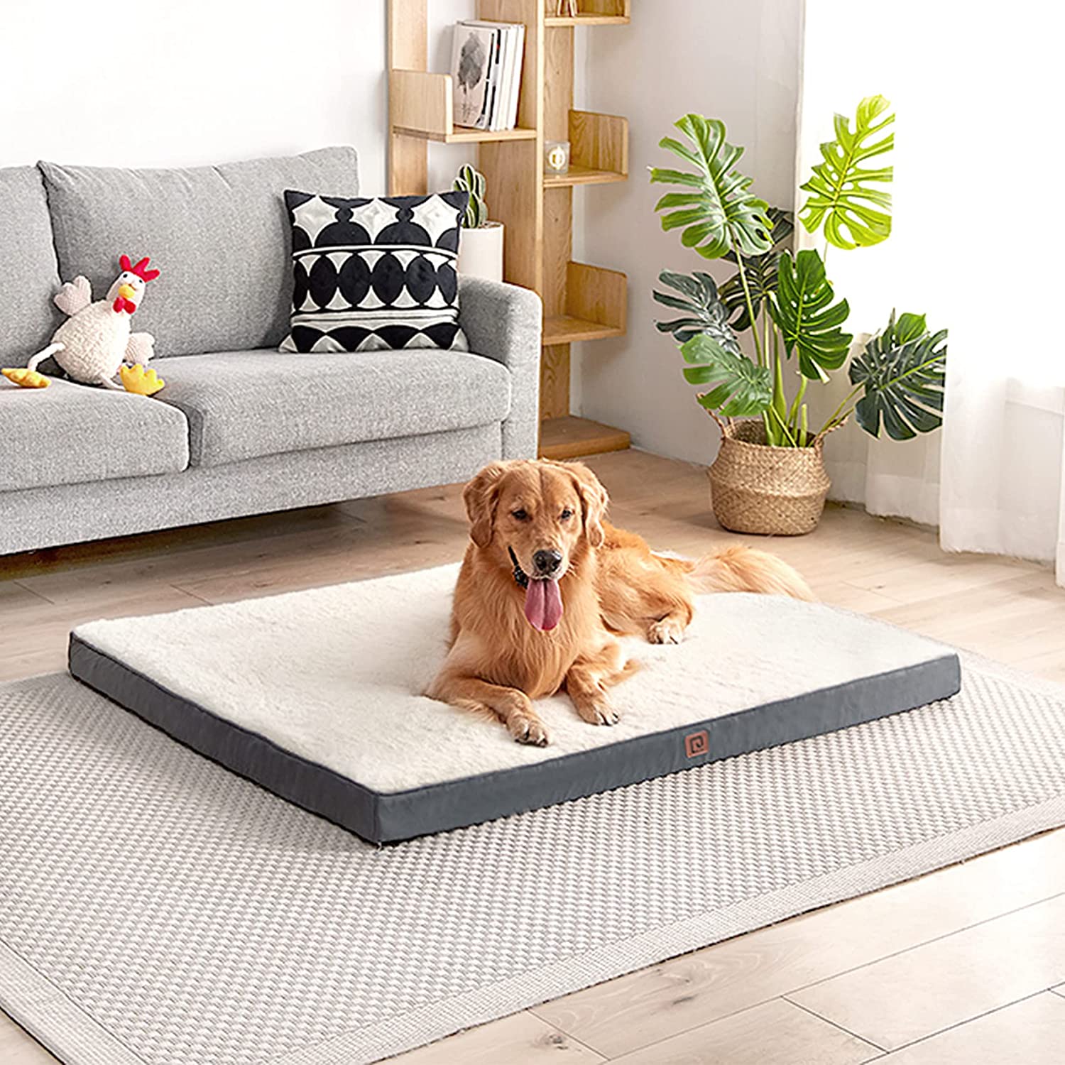 Dog Bed Large Washable, Orthopedic Dog Beds Mattress with Removable Cover, Pet Bed Dog Cushion with Anti-Slip Bottom, White, 91x68x7.5cm