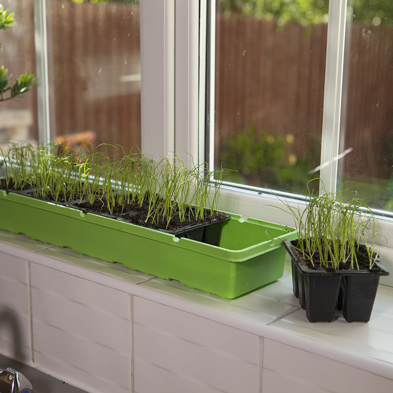 Windowsill Propagator Kit Indoor Greenhouse Set of 3 for 90 Plants