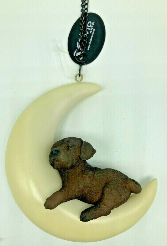 Chocolate Labrador Dog Puppy On Moon Indoor Outdoor Resin