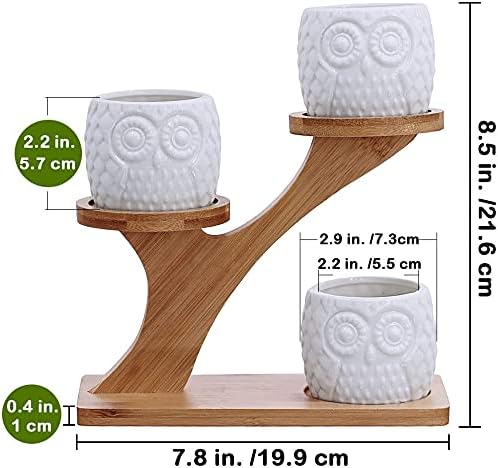 Owl Succulent Pots 3 Pcs with 3 Tier Bamboo Saucers Stand Holder, White Owl Succulent Plant Pots with Drainage and Bamboo Stand, Great for Office and Home Decor, Ideal for Gift.