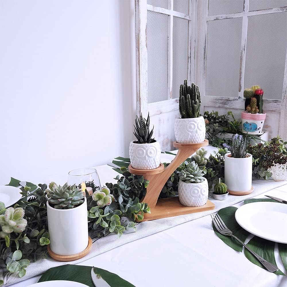 Owl Succulent Pots 3 Pcs with 3 Tier Bamboo Saucers Stand Holder, White Owl Succulent Plant Pots with Drainage and Bamboo Stand, Great for Office and Home Decor, Ideal for Gift.