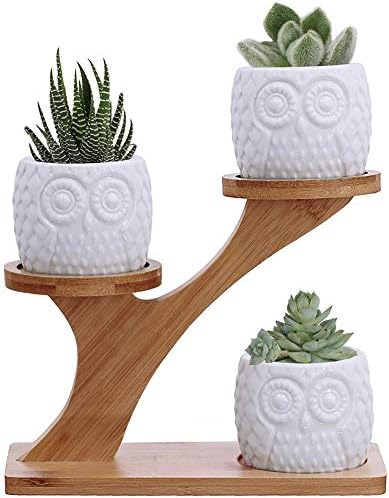 Owl Succulent Pots 3 Pcs with 3 Tier Bamboo Saucers Stand Holder, White Owl Succulent Plant Pots with Drainage and Bamboo Stand, Great for Office and Home Decor, Ideal for Gift.