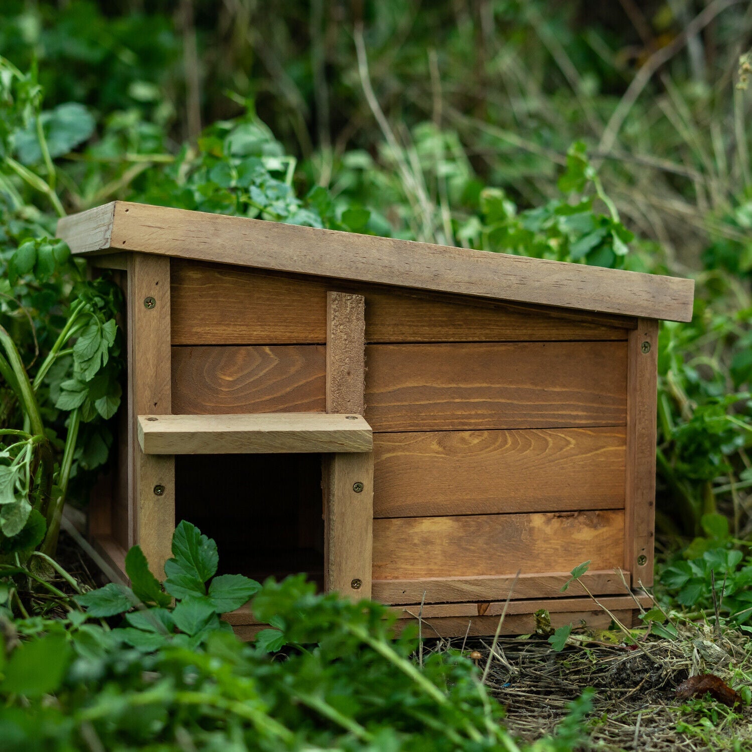 Woodside Hedgehog House & Hibernation Shelter, Predator Proof Outdoor Habitat