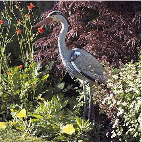 NATURAL Looking Heron | Decoy Bird Deterrent Scarers | Guarding Garden Ponds and Fisheries | Standing Grey Heron | Crops Farm Protector | Repellent | Weatherproof – 78CM