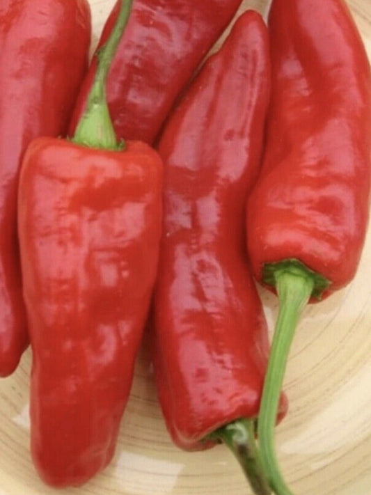 ITALIAN SWEET PEPPER MARCONI...HEAVY CROPPER...25 QUALITY SEEDS