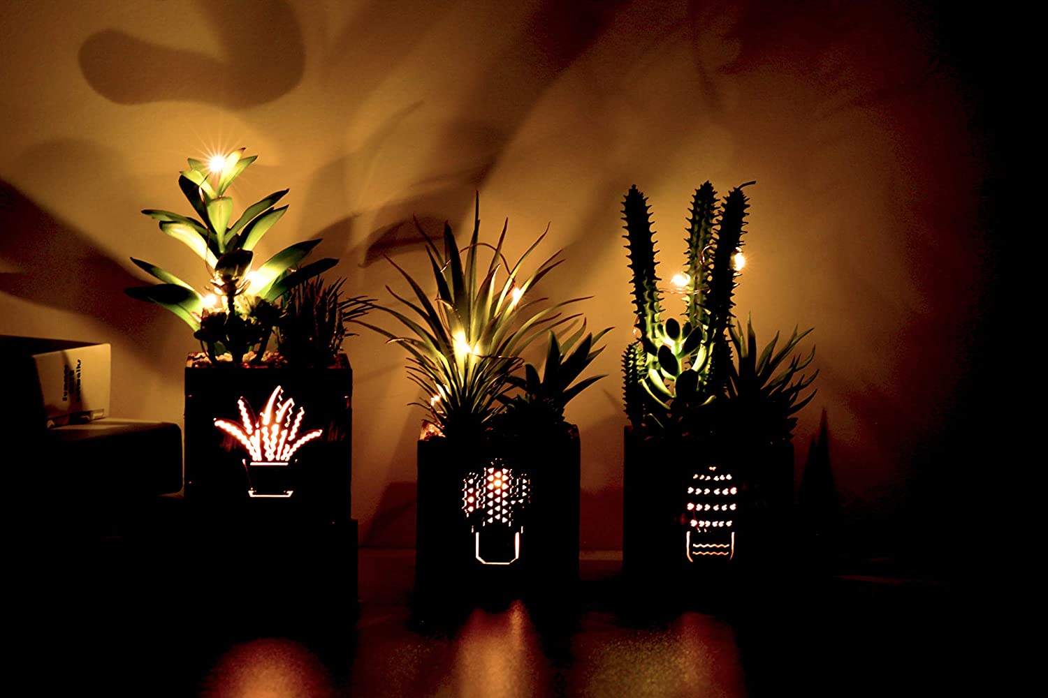 Set of 3 Artificial Succulents with Led Lights in Wooden Box