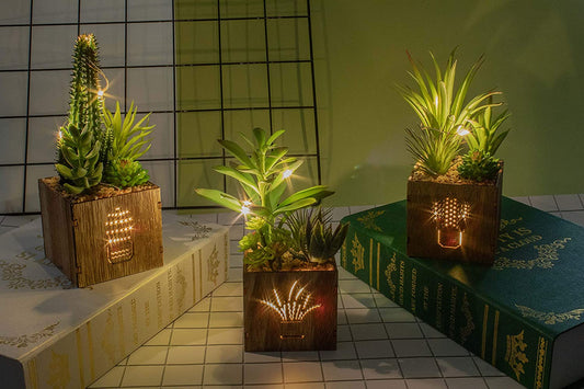 Set of 3 Artificial Succulents with Led Lights in Wooden Box