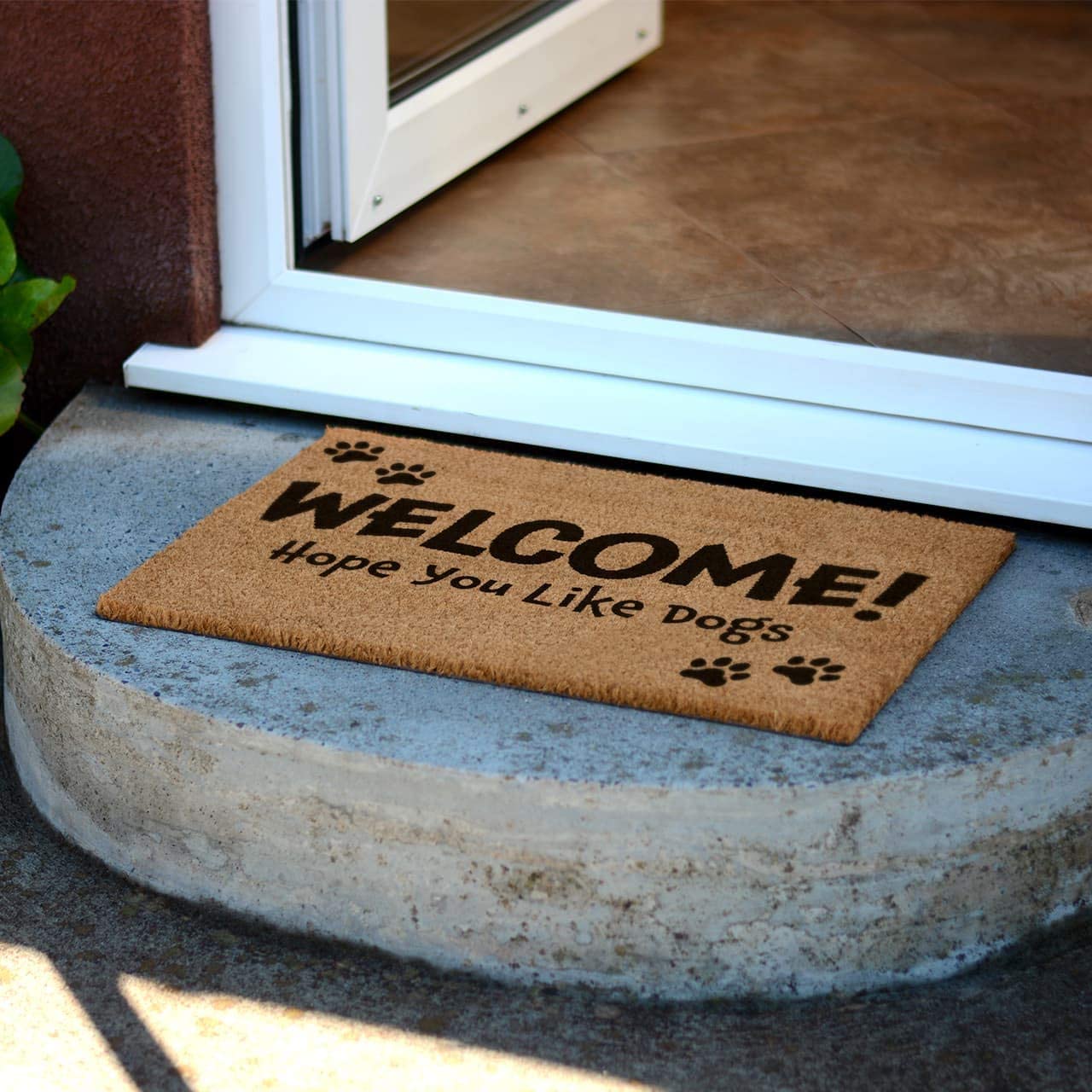 Welcome Hope You Like Dogs Novelty DOORMAT