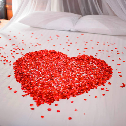 3000PCS Red Rose Petals Fake Flower