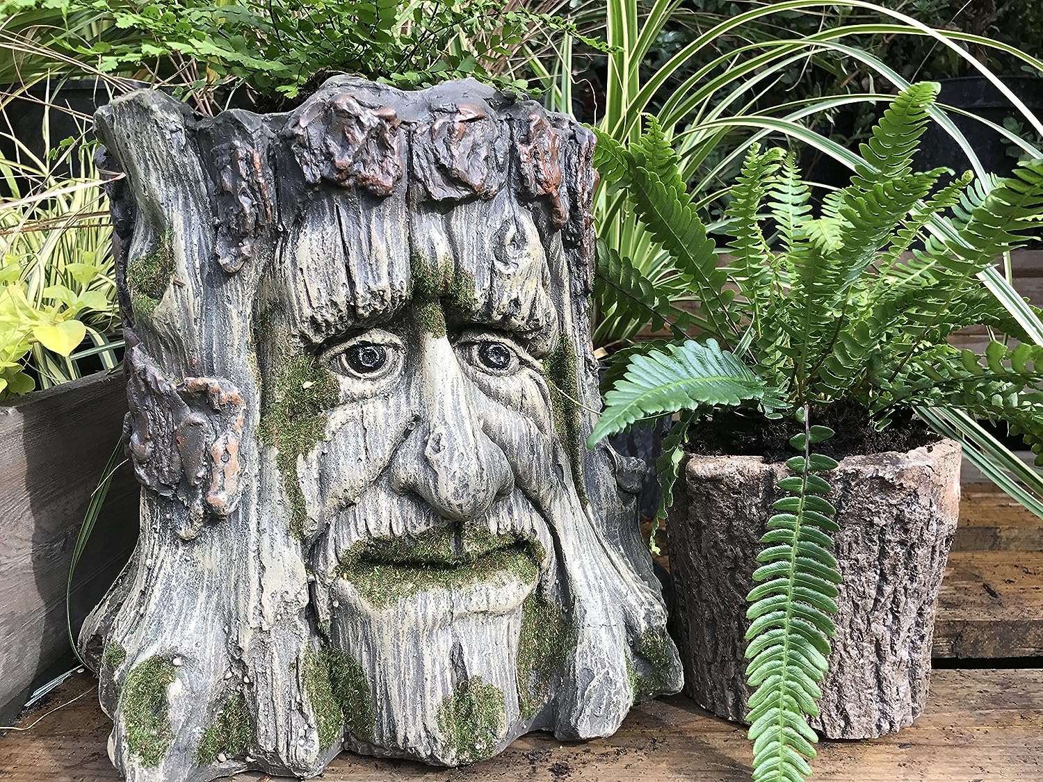 Mans Face Tree Trunk Stump Herb Flower Planter Garden Plant Box Bucket Pot Tub