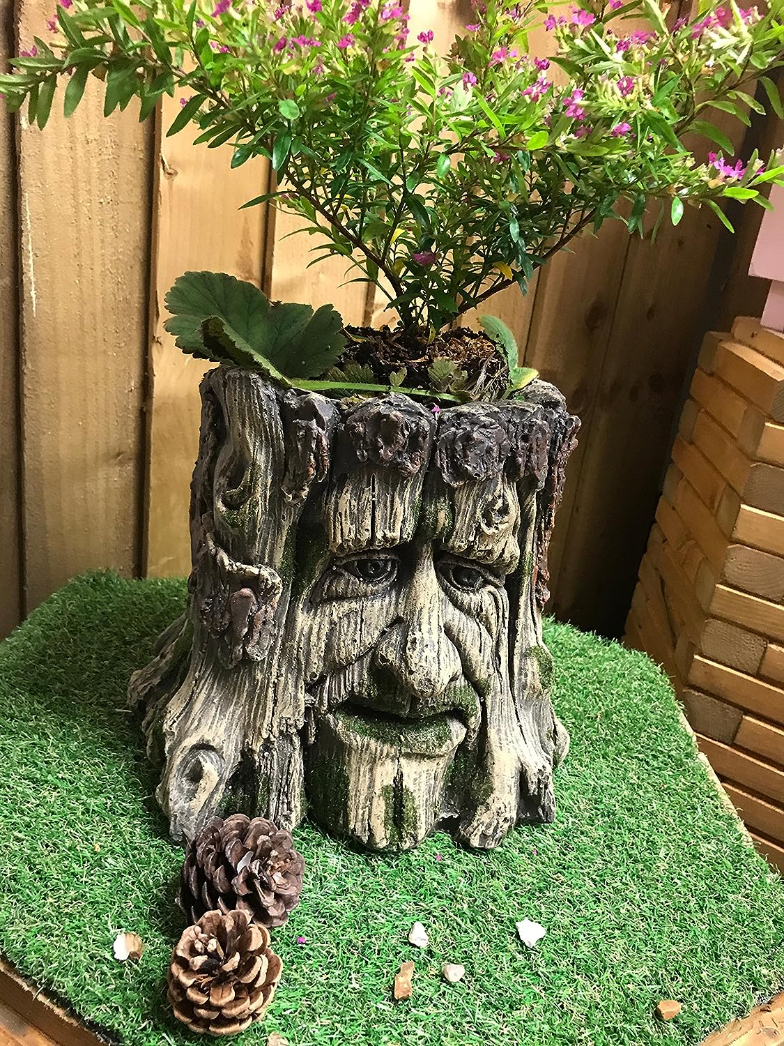 Mans Face Tree Trunk Stump Herb Flower Planter Garden Plant Box Bucket Pot Tub