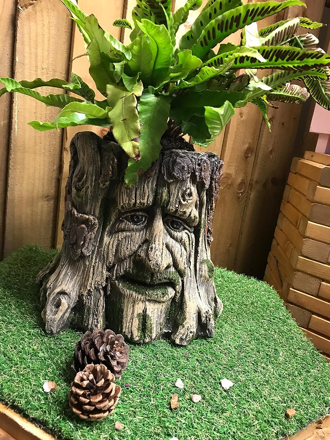 Mans Face Tree Trunk Stump Herb Flower Planter Garden Plant Box Bucket Pot Tub