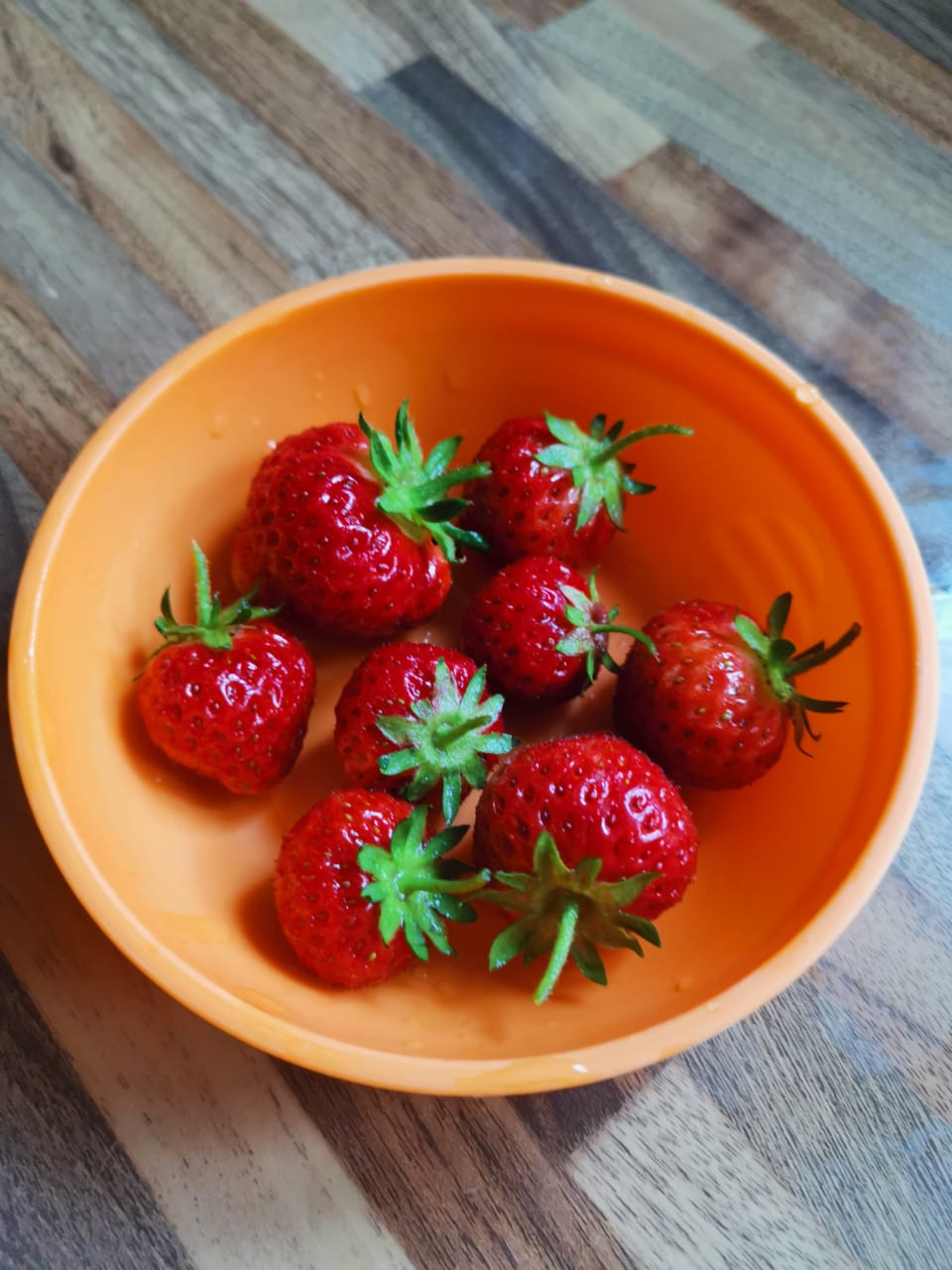 Strawberry 'Marshmello' Fast Growing Bare Root Garden Bush Fruit Plants