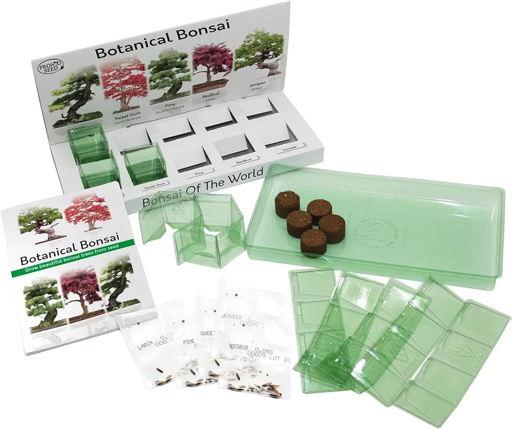 Pronto Seed Grow Your Own Bonsai Tree | 5 Seed Varieties - with Sustainable Packaging - Gardening for Men and Women | Beginner Friendly