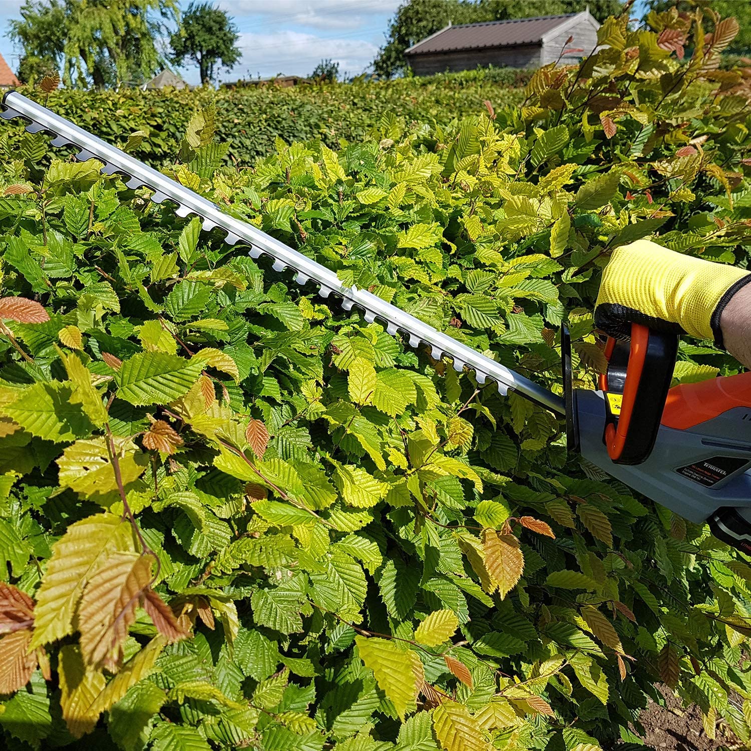 20V Cordless Electric Hedge Trimmer, 51cm