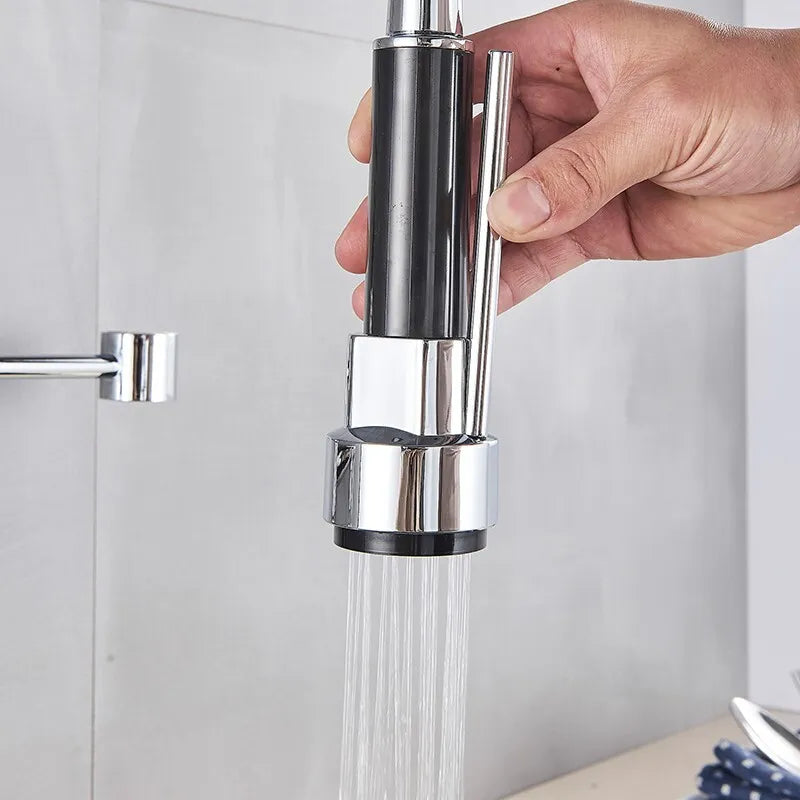 Modern Kitchen Pull Out Mixer Taps Dual Spout Spray Shower Head Monobloc Chrome