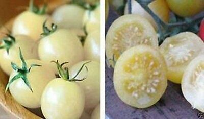 15 Snow White Cherry Tomato Seeds