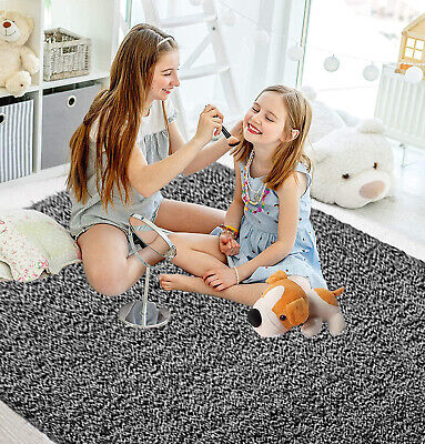 Shaggy Lounge Living Room Rug