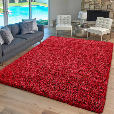 Shaggy Lounge Living Room Rug