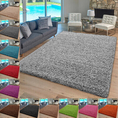 Shaggy Lounge Living Room Rug