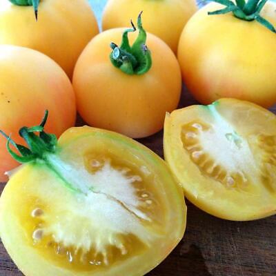 25 peach tomatoes seeds