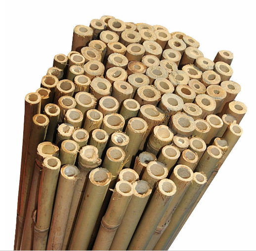 2ft-3ft-4ft-5ft-6Ft Thick Bamboo Canes Strong Heavy Duty Garden Plant Support || Pack of 10