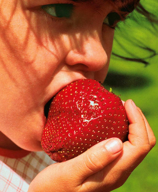 Giant Strawberry Seeds - Sweet And Juicy -Garden Plant 20pcs