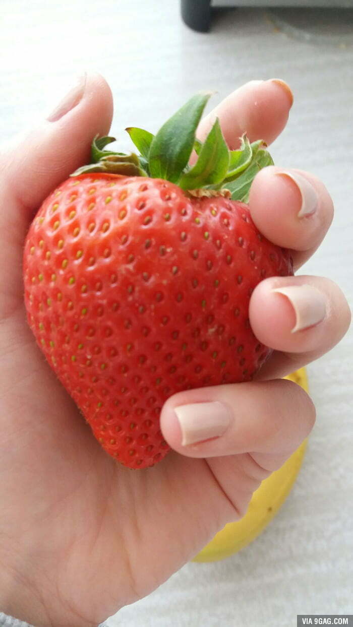 Giant Strawberry Seeds - Sweet And Juicy -Garden Plant 20pcs