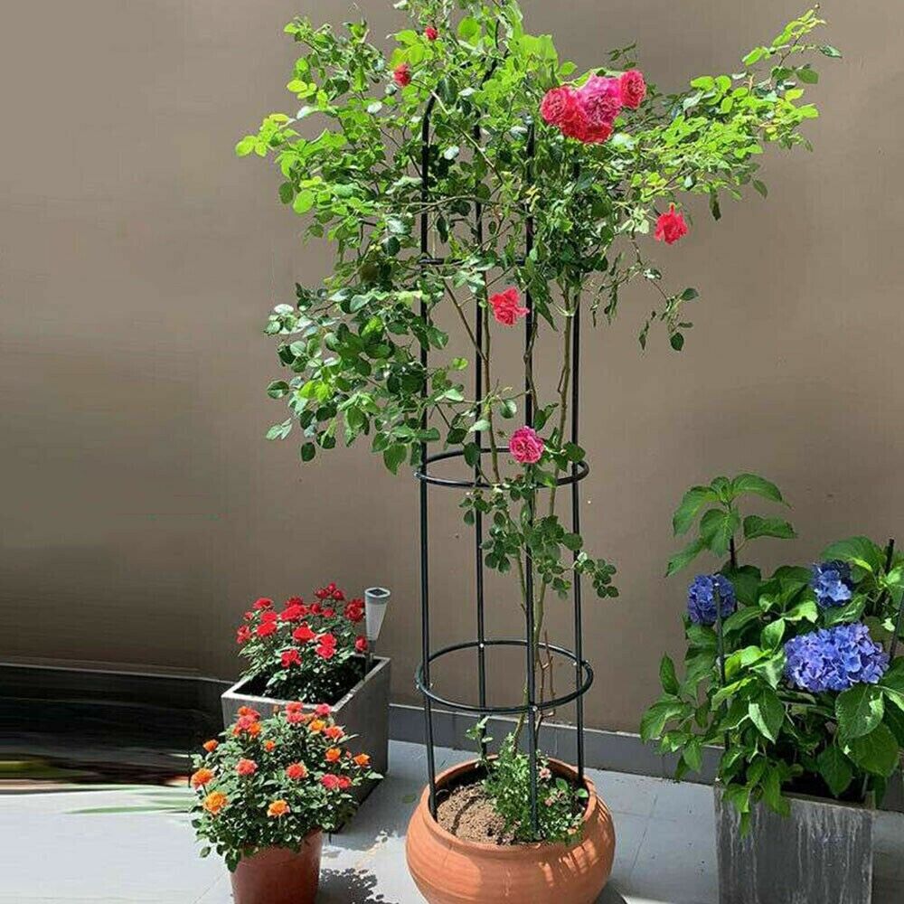 Obelisk Metal Garden Climbing Plant 1.9m Flowers Steel Frame