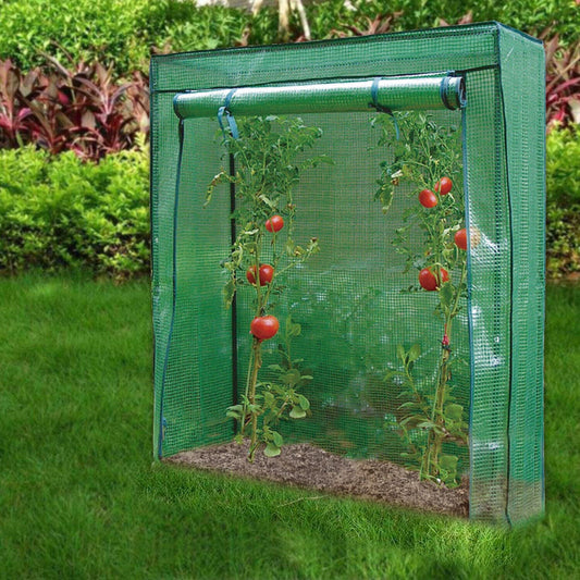 Outdoor Garden Tomato Plant Grow Green House Greenhouse Reinforced Frame & Cover